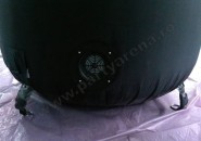balon-herbalife-3