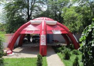 cort-dupont-5