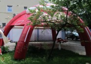 cort-dupont-6