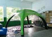 cort-herbalife-6